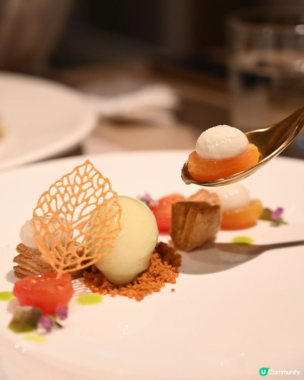 🍀🍀高質素食Fine Dining 