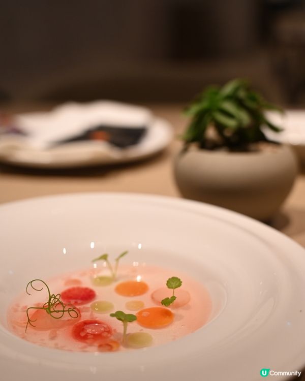 🍀🍀高質素食Fine Dining 