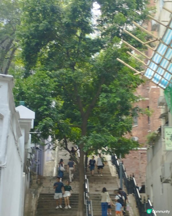 中上環文化古蹟一日遊👍🏻
在中環地鐵站C出口
參加中環街