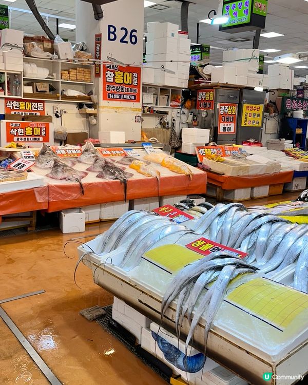 🇰🇷韓國好去處！鷺梁律海鮮水產市場！