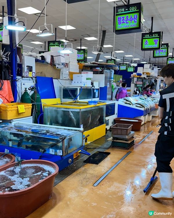 🇰🇷韓國好去處！鷺梁律海鮮水產市場！