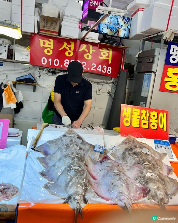 🇰🇷韓國好去處！鷺梁律海鮮水產市場！