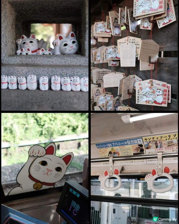 🇯🇵東京必打卡滿滿招財貓招福貓😍超可愛