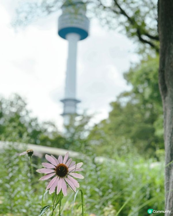 🇰🇷韓國首爾景點推薦——南山塔景色