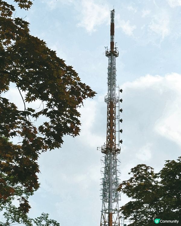 🇰🇷韓國首爾景點推薦——南山塔景色