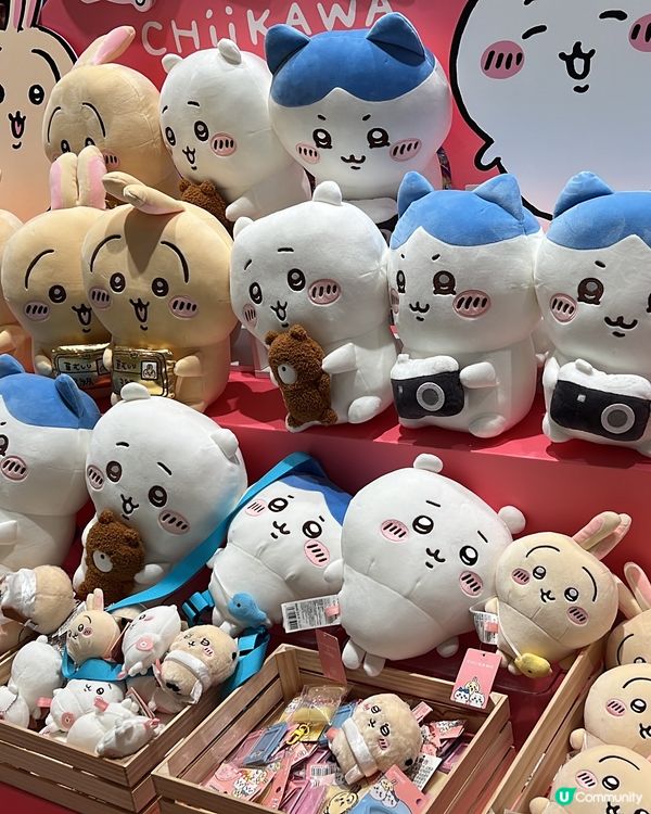 Chiikawa Miniso 名創