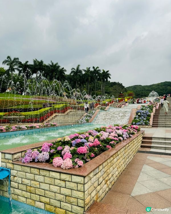 被花包圍的雲台公園