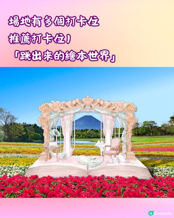 富士山彩虹花祭2024🇯🇵8萬朵花卉盛開成彩虹花海🌈附交通~