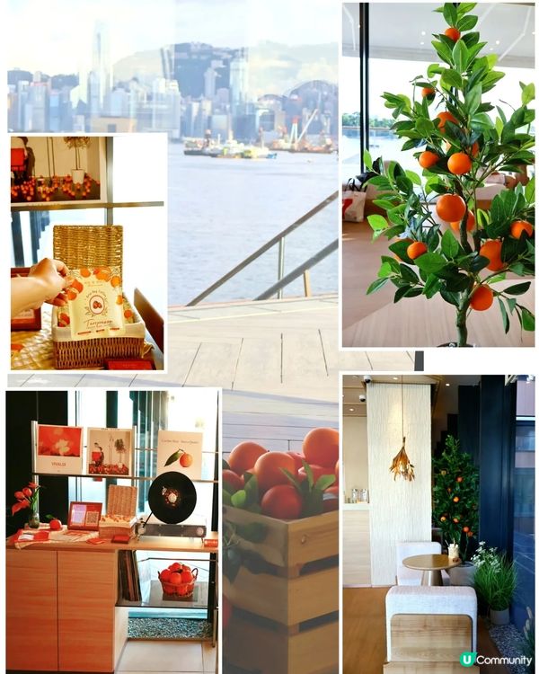 Terrace in Seaside🌞早晨套餐開心價38起