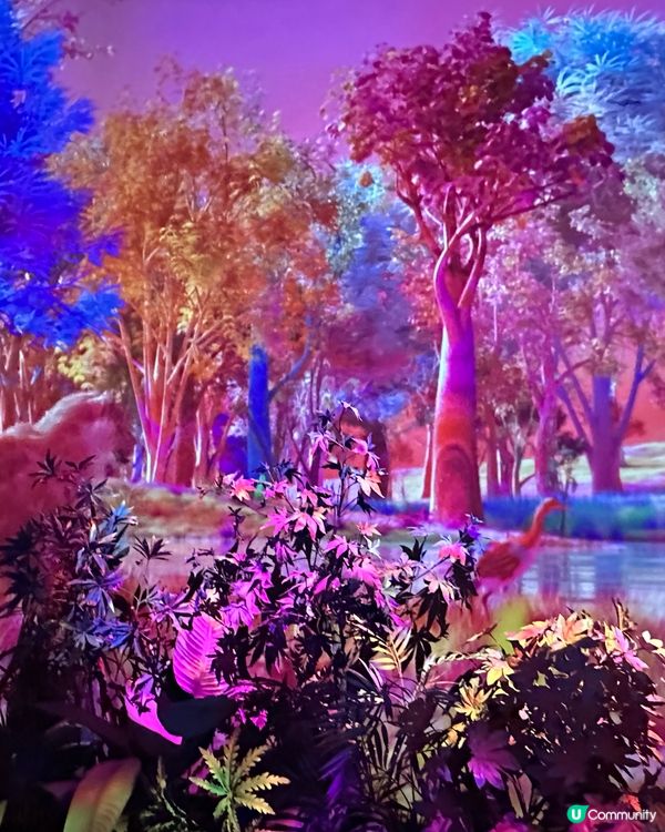 值得一黎既 Le Space! 