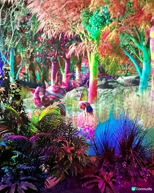 值得一黎既 Le Space! 