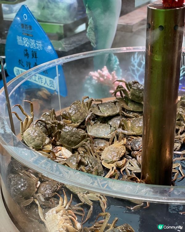 深圳一百多自助火鍋加燒烤，CP值之王