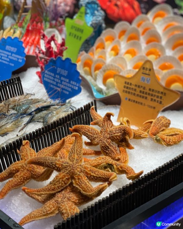 深圳一百多自助火鍋加燒烤，CP值之王