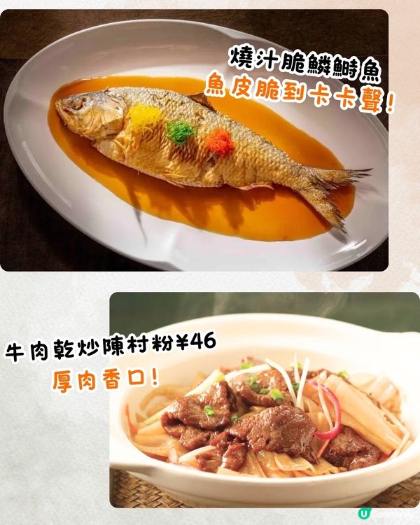 深圳順德菜天花板南鄕·精功‼️必食超正宗順德魚生/陳皮焗鯽魚🍤