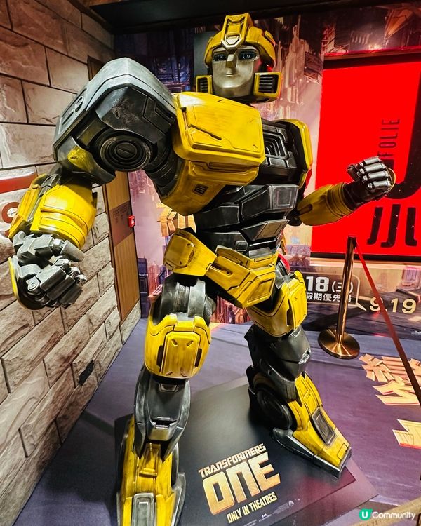 變形金剛初始篇💥  值睇！