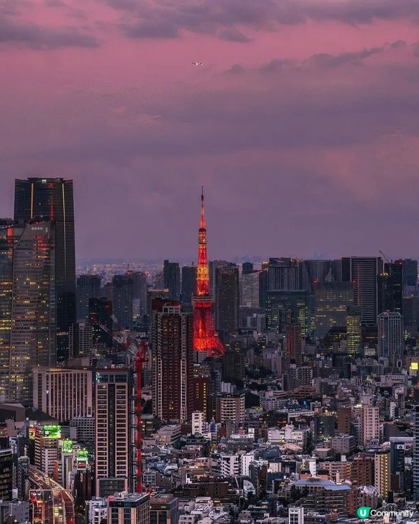 🇯🇵超詳盡涉谷打卡路線+必食😍😍