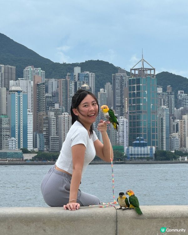 有冇人明白同鸚鵡合照真係好難？