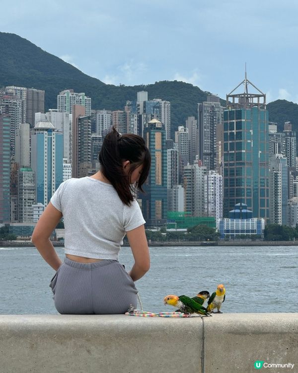 有冇人明白同鸚鵡合照真係好難？