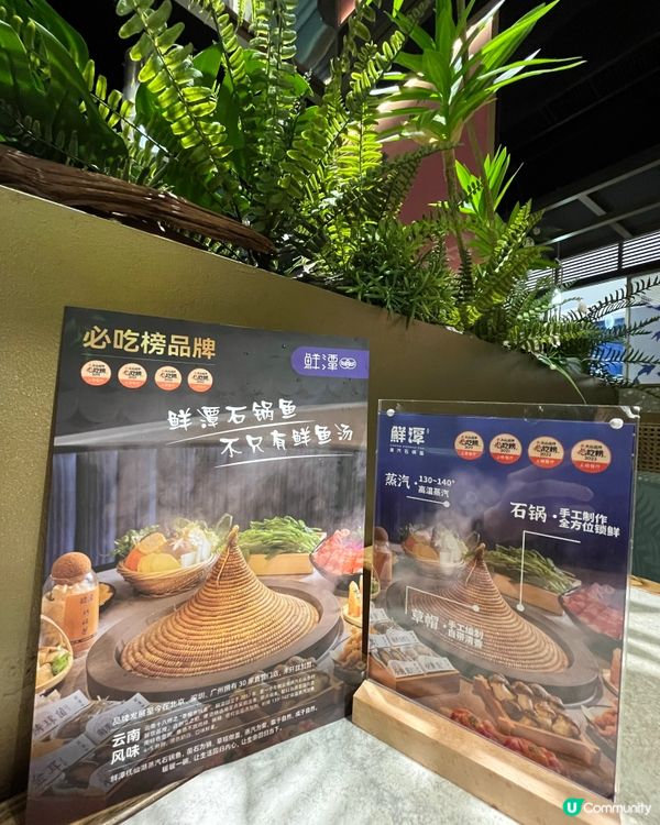 蒸汽石鍋魚 (雲南風味）～ One Avenue 卓悅中心 ...