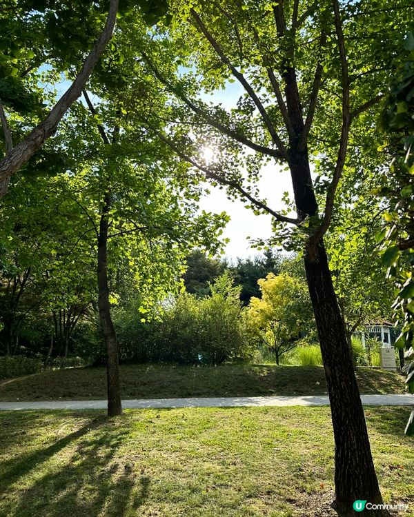 🇰🇷韓國首爾林公園！必逛超美景點推薦！