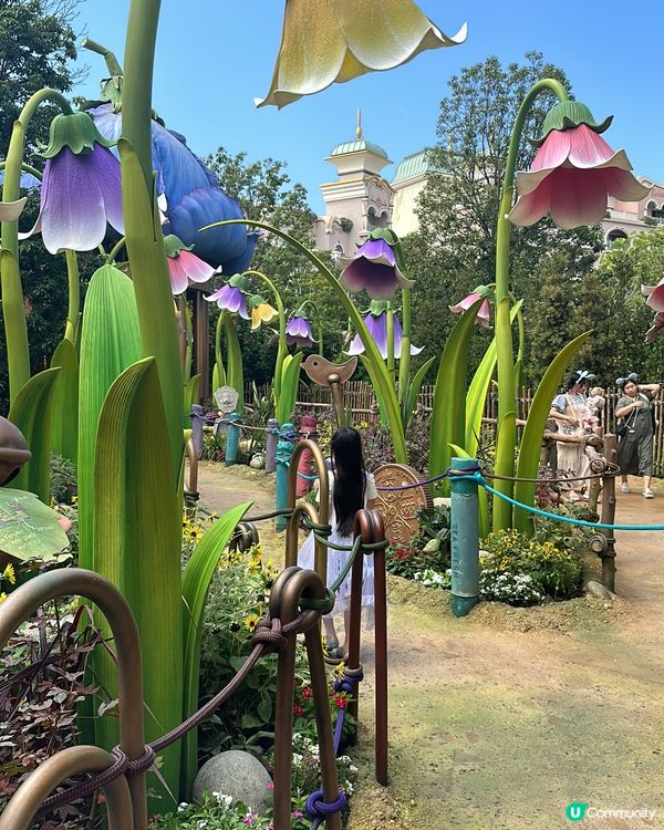 東迪Fantasy Spring酒店、手帶、園區任玩