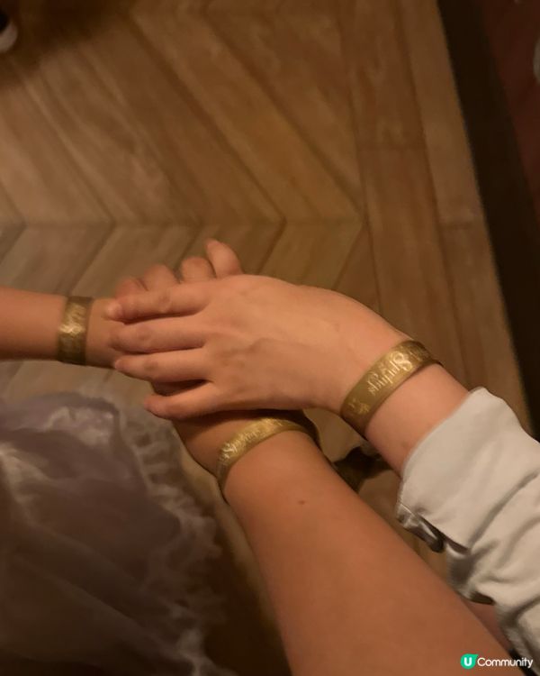 東迪Fantasy Spring酒店、手帶、園區任玩