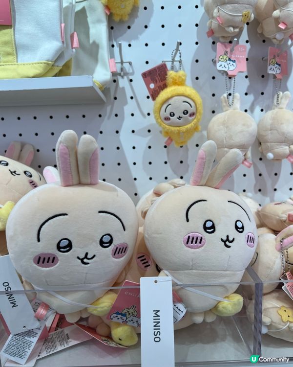 Chii迷又有一地方可去