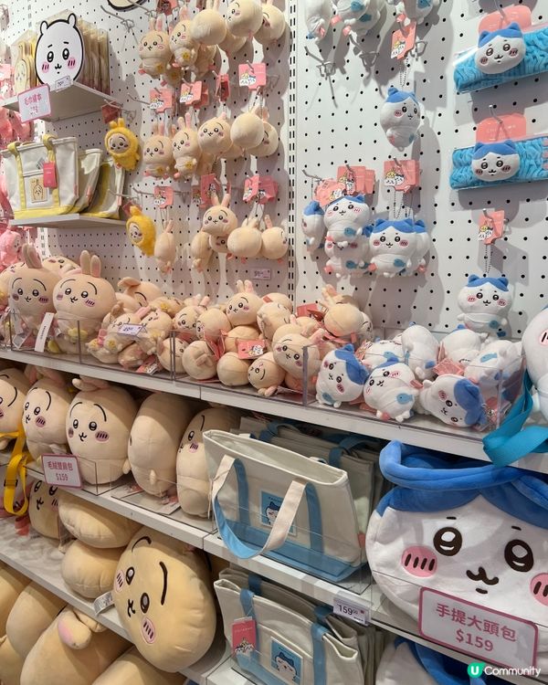 Chii迷又有一地方可去