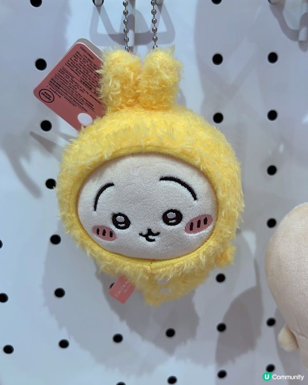 Chii迷又有一地方可去