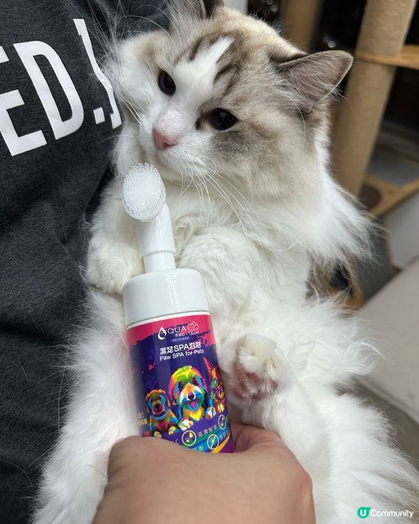 🐾粉紅肉球👶🏻，護理要做好！