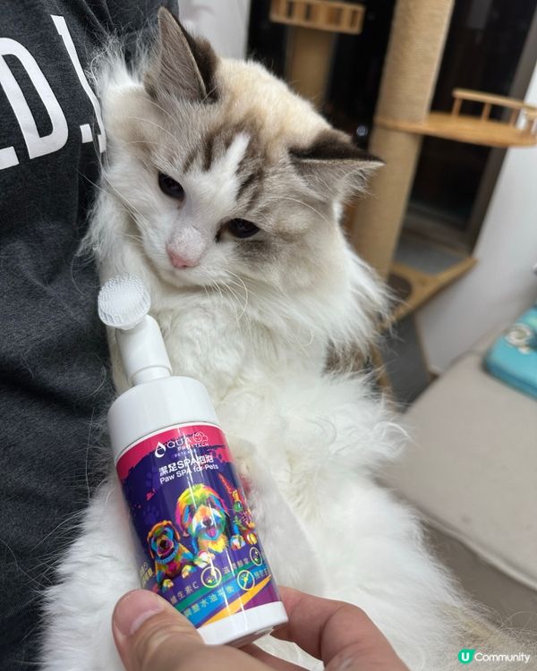 🐾粉紅肉球👶🏻，護理要做好！