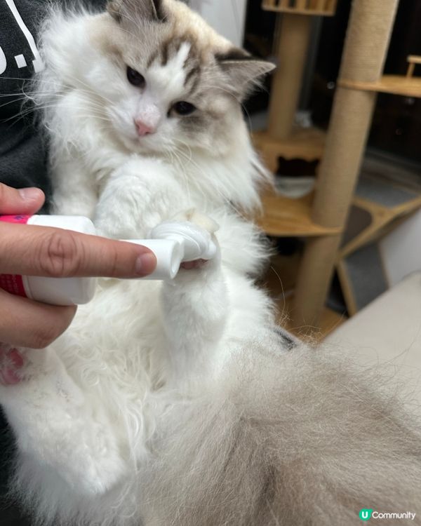 🐾粉紅肉球👶🏻，護理要做好！