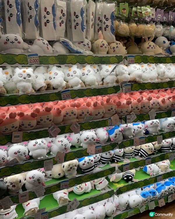 🇯🇵走遍東京 chiikawa😍購買攻略