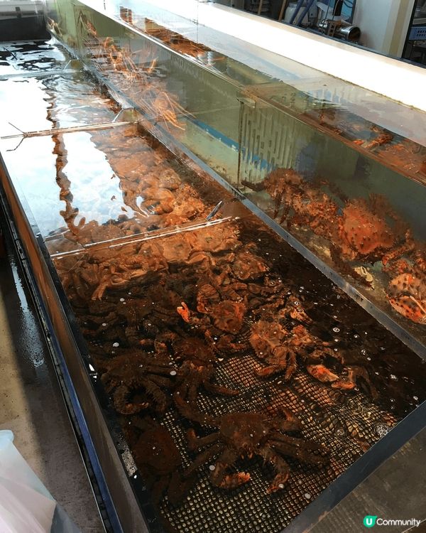 必食！札幌場外市場超新鮮海鮮