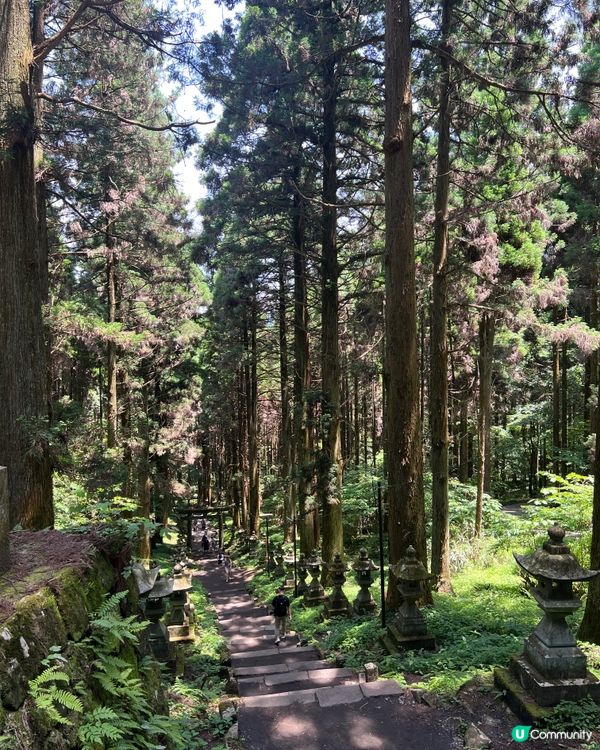 螢火之森場景✨ 上色見熊野座神社⛩️