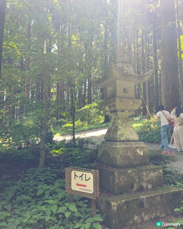 螢火之森場景✨ 上色見熊野座神社⛩️