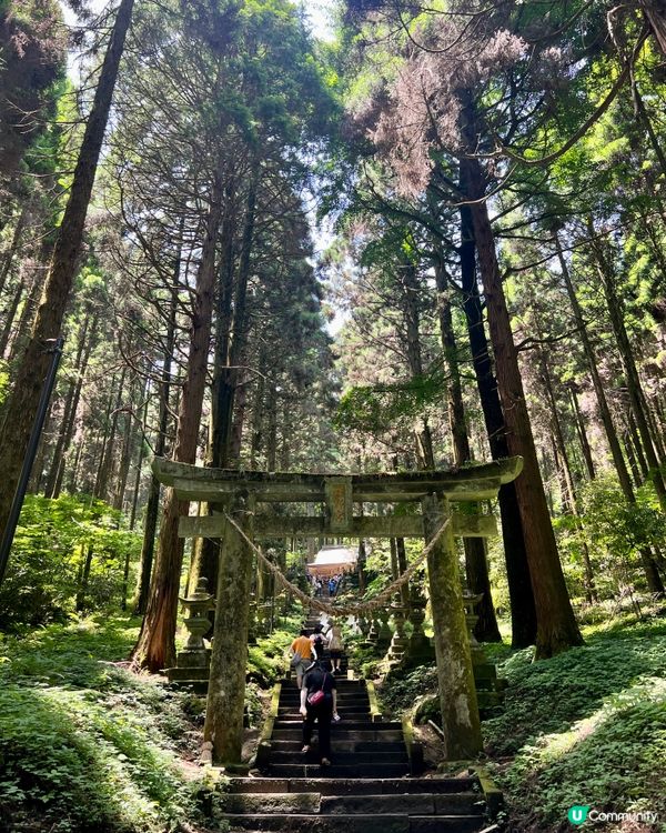 螢火之森場景✨ 上色見熊野座神社⛩️
