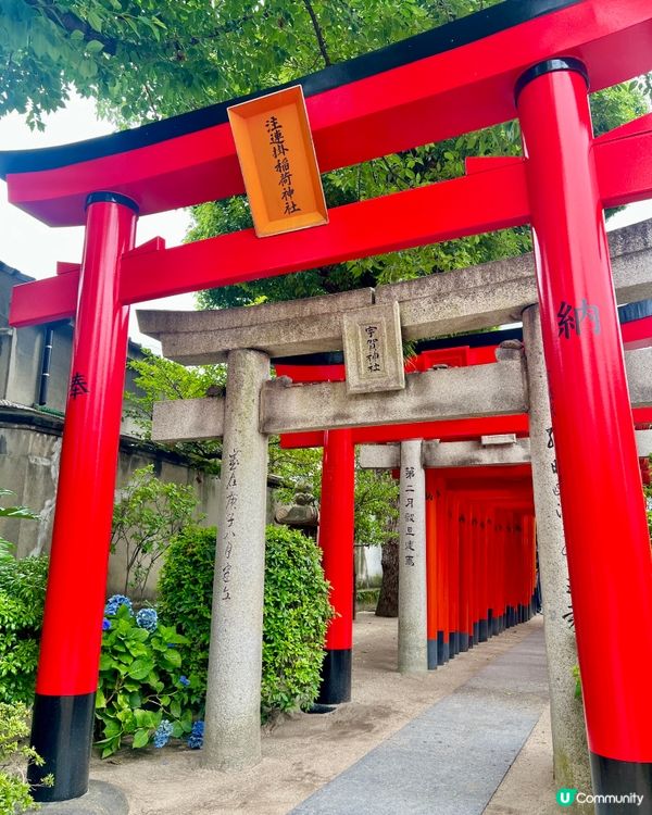福岡必去⛩️ 櫛田神社打卡