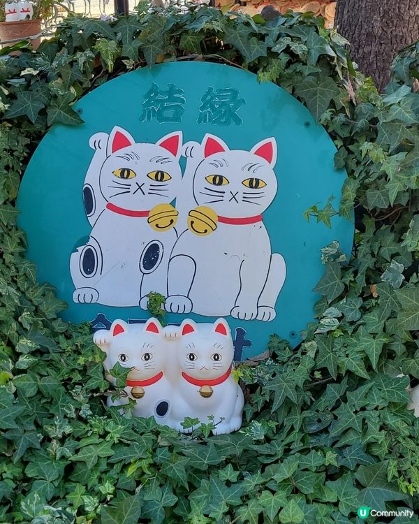 今戶神社～貓貓神社