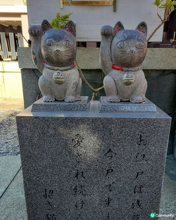 今戶神社～貓貓神社