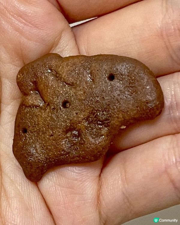 🐳🐬《愉快動物餅》水族館版本🐬🐳