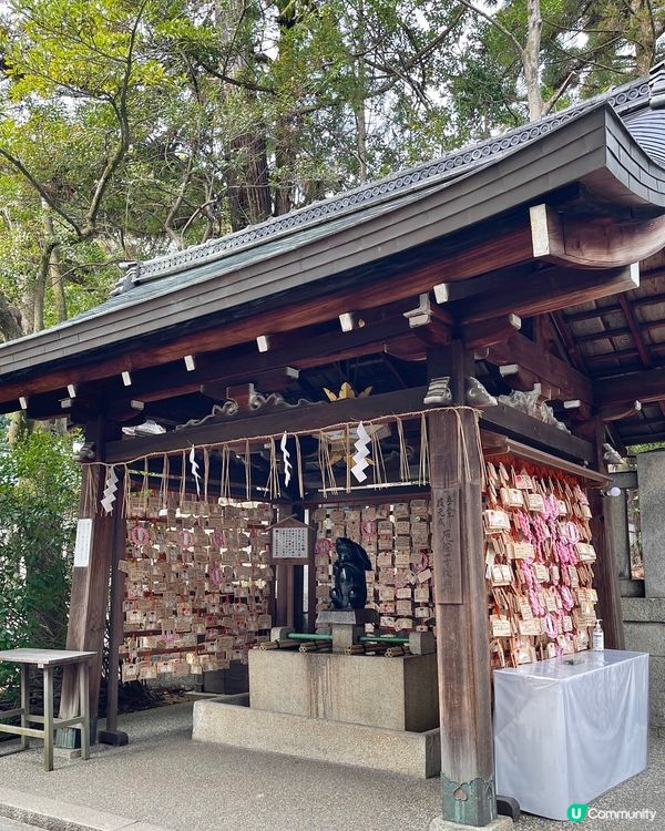 日本京都最可愛神社🐇🤍