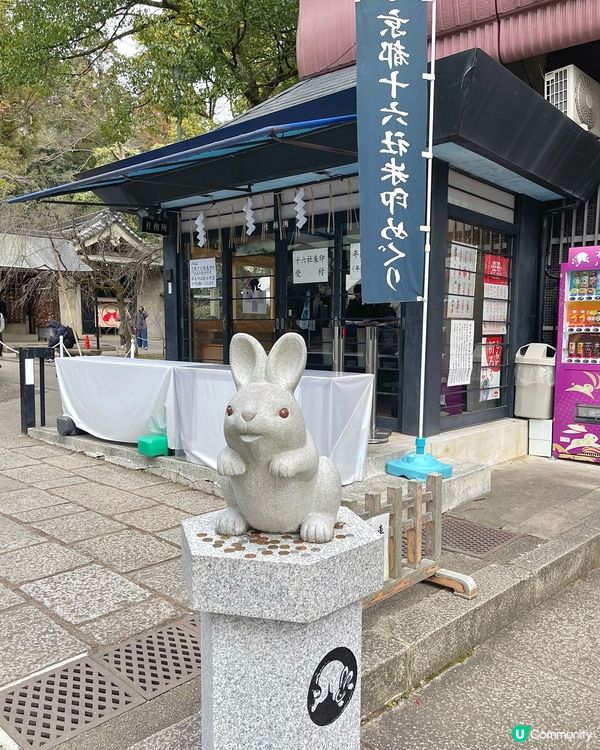 日本京都最可愛神社🐇🤍