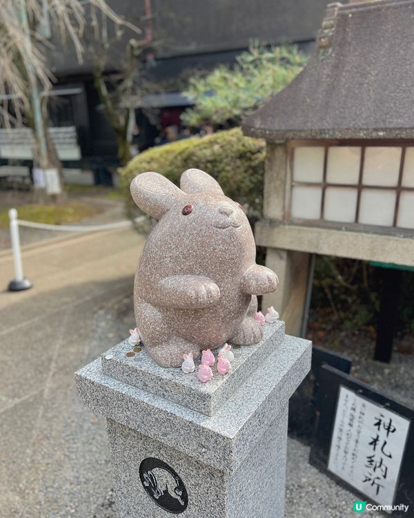 日本京都最可愛神社🐇🤍