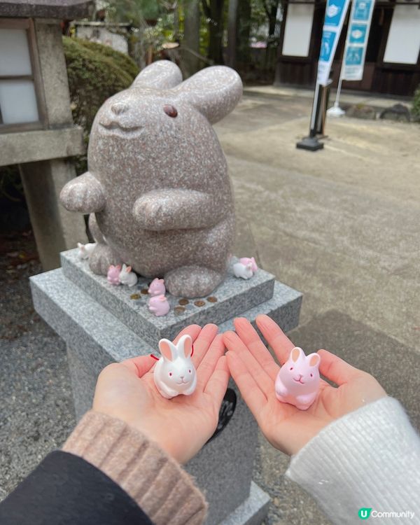 日本京都最可愛神社🐇🤍