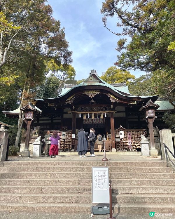 日本京都最可愛神社🐇🤍