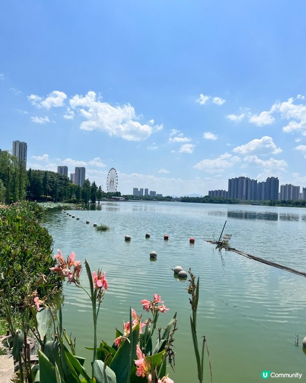 飛來湖濕地公園