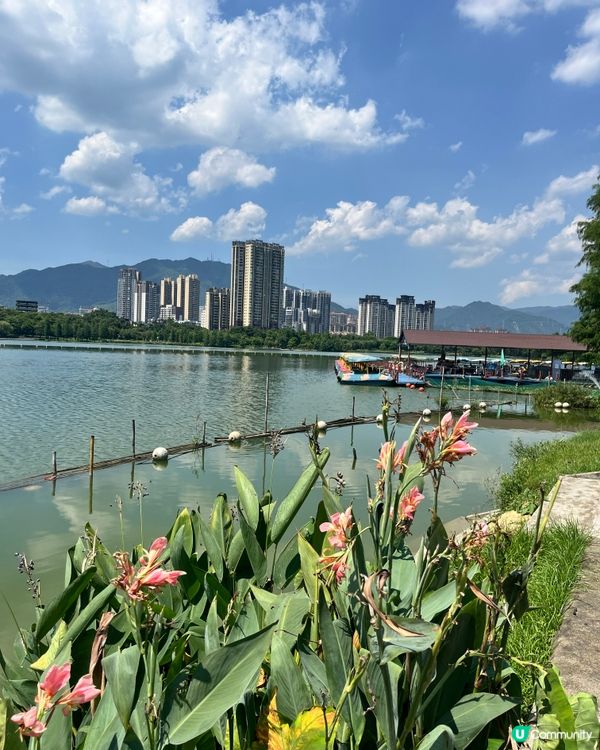 飛來湖濕地公園