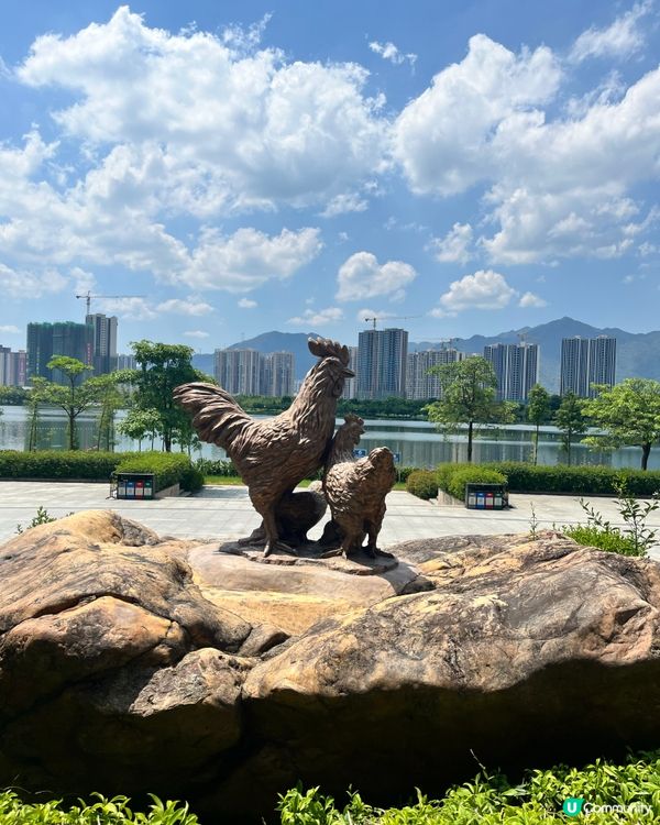 飛來湖濕地公園