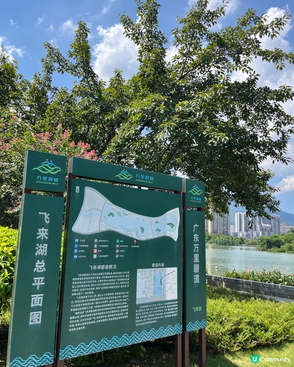 飛來湖濕地公園